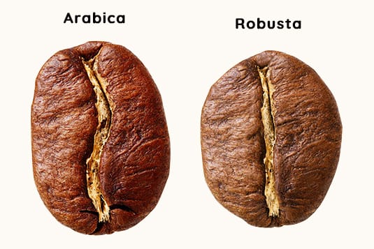 Cafe Arabic Roots en grano 100% Arábica - Cafés BOU