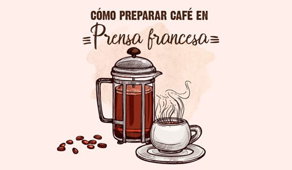 Preparación de café con Prensa Francesa