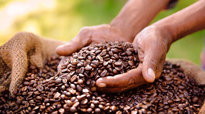 Descubre con Bonka cuál es el mejor café del mundo