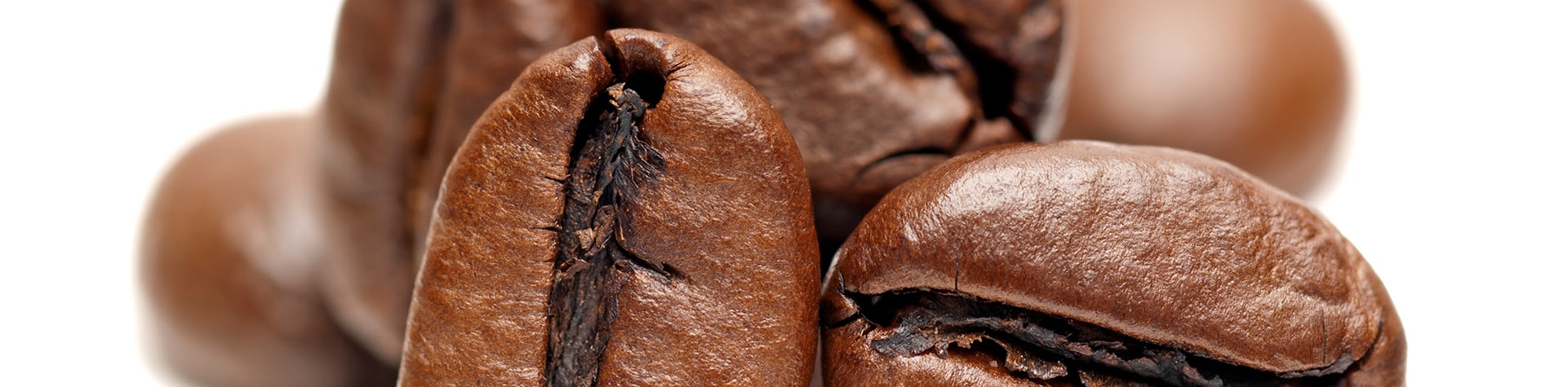 CAFE TAL - ¿Conoces la diferencia entre el grano robusta y arábica? En Café  Tal contamos con ambos granos, ¡recién tostado, todos los días!😺